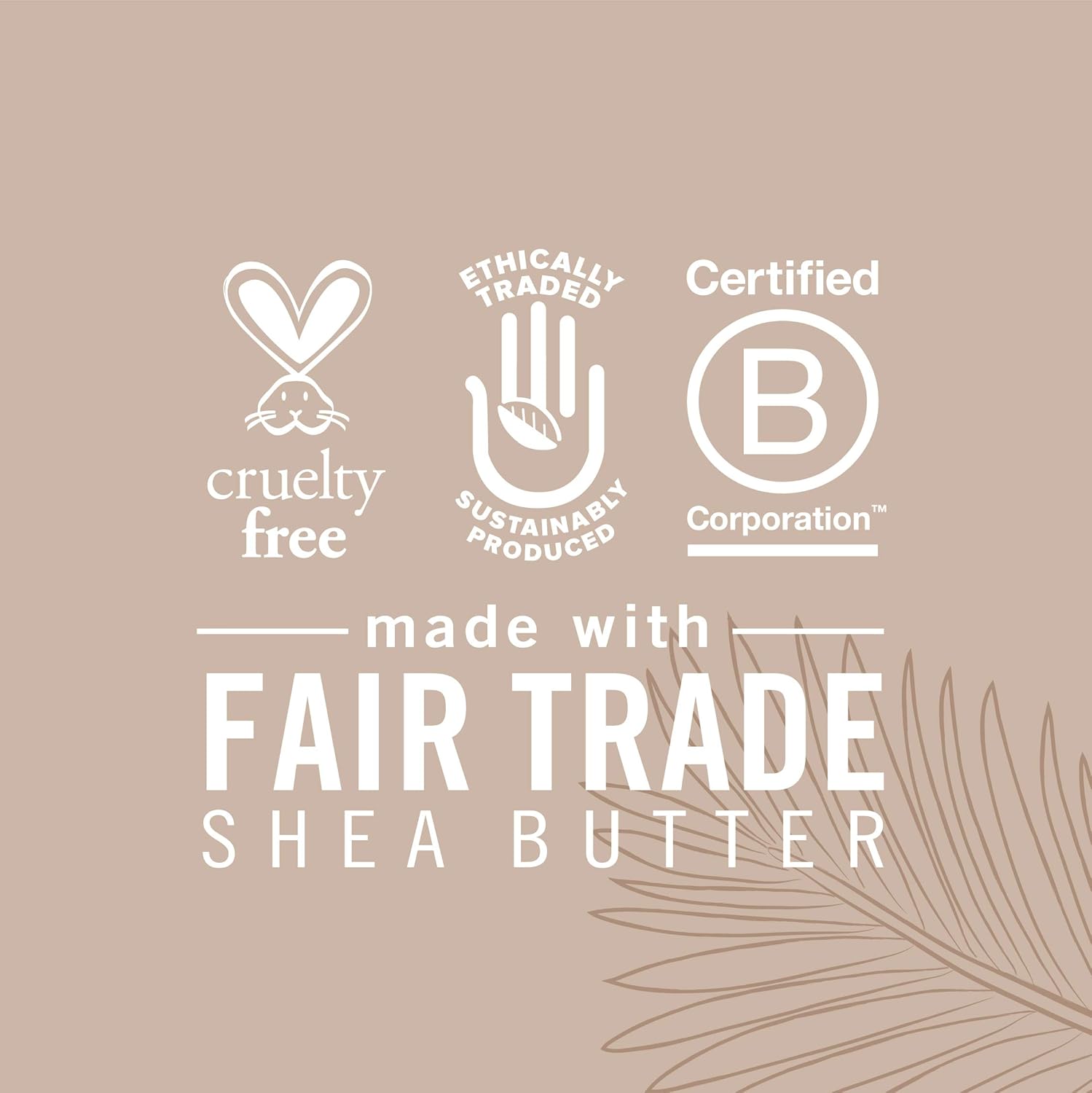 S M Virgin Coconut Oil Lotion 13oz bottle with fair trade shea butter