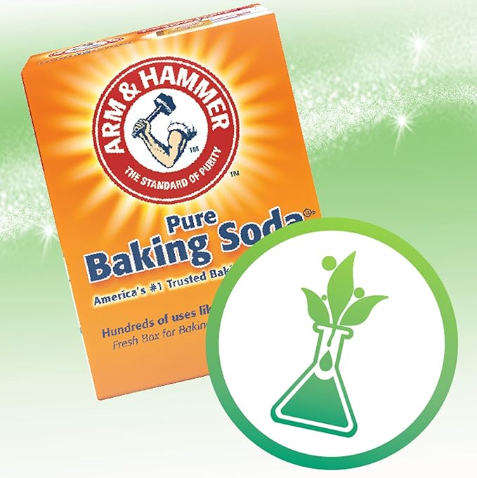 Arm & Hammer Pure Baking Soda 73g box with natural odor control