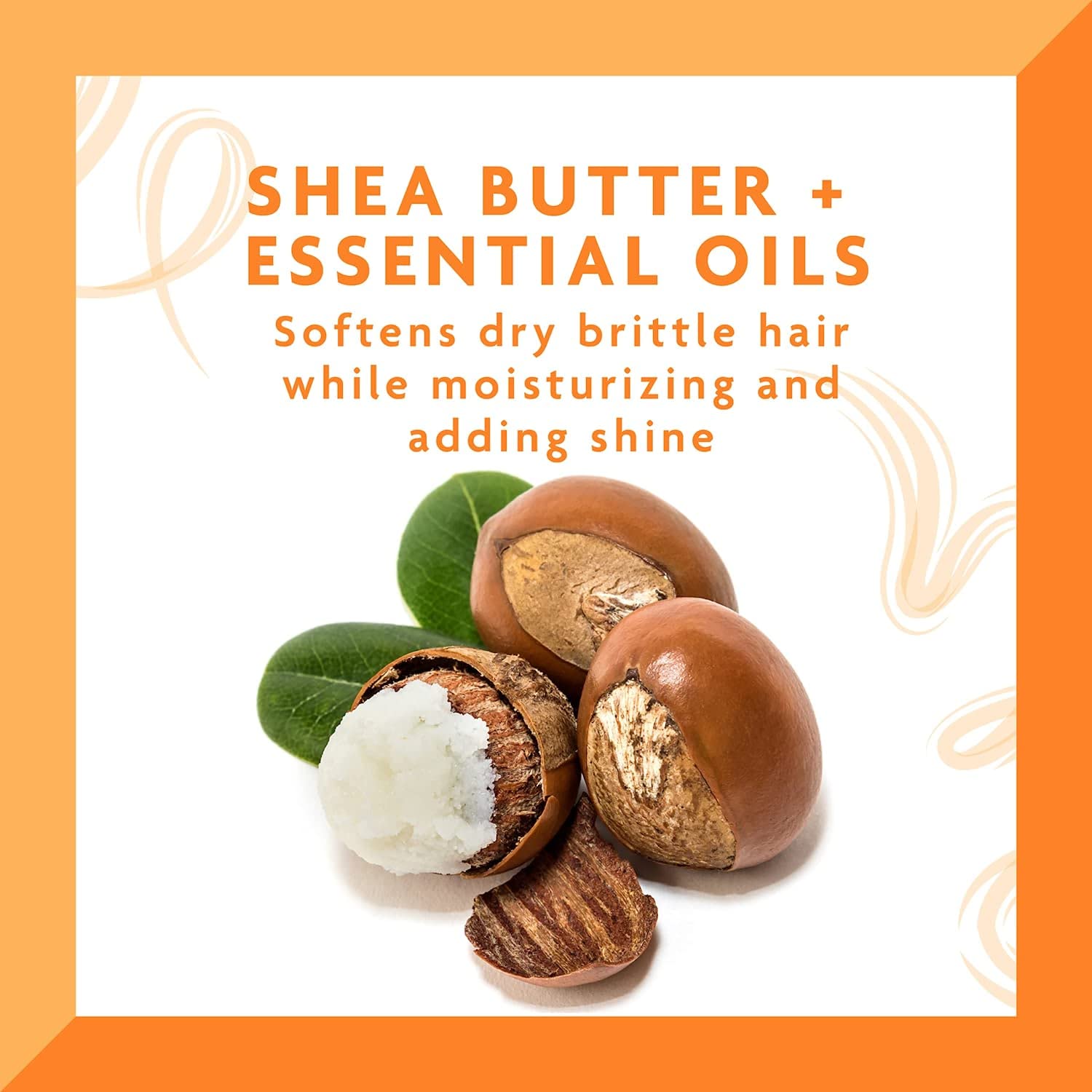 Cantu Shea Butter Leave-In Conditioning Repair Cream 16 ounce jar with shea nuts displayed
