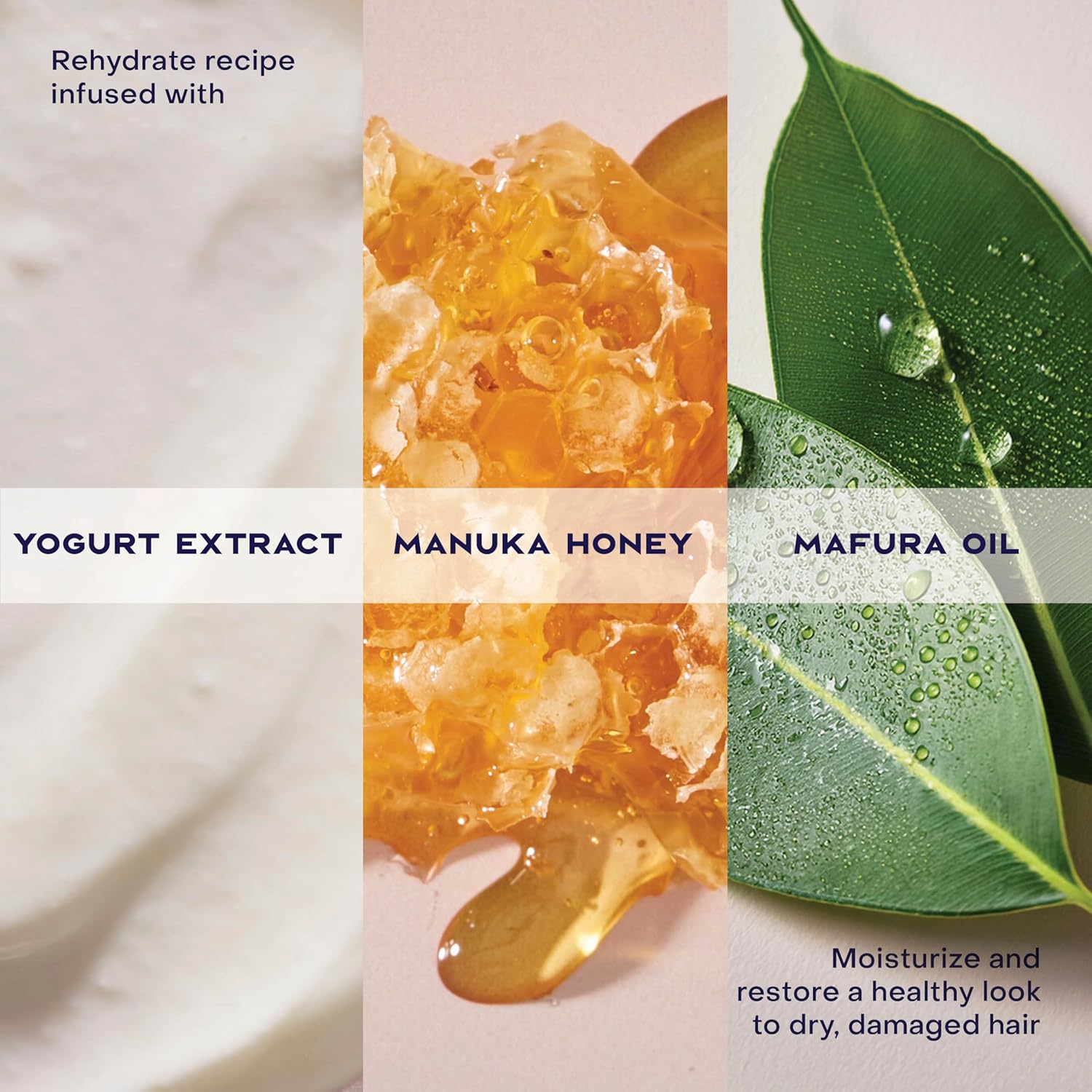 SheaMoisture Manuka Honey & Yogurt Hydrate + Repair Conditioner 384ml bottle