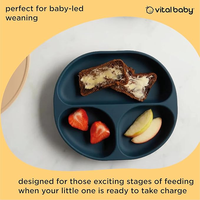 Vital Baby NOURISH silicone suction plate in moody blue with food compartments