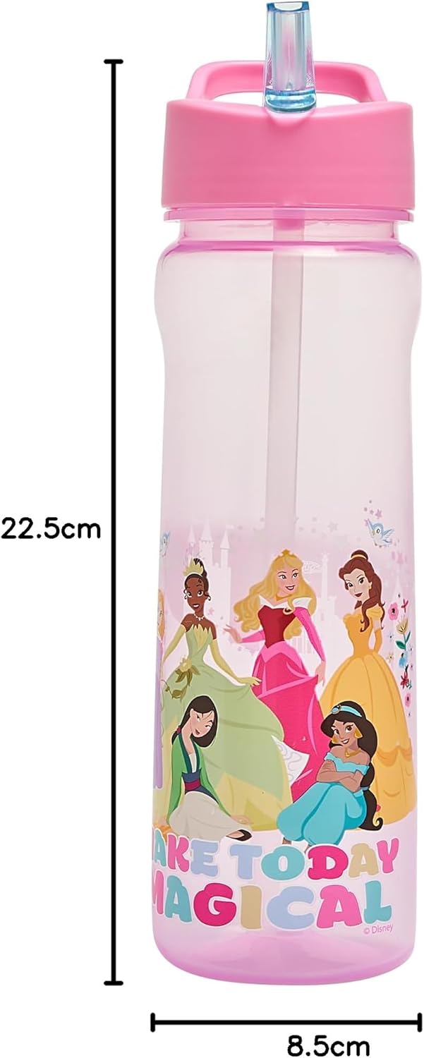 Polar Gear Disney Princess pink sipper water bottle 600ml with handle