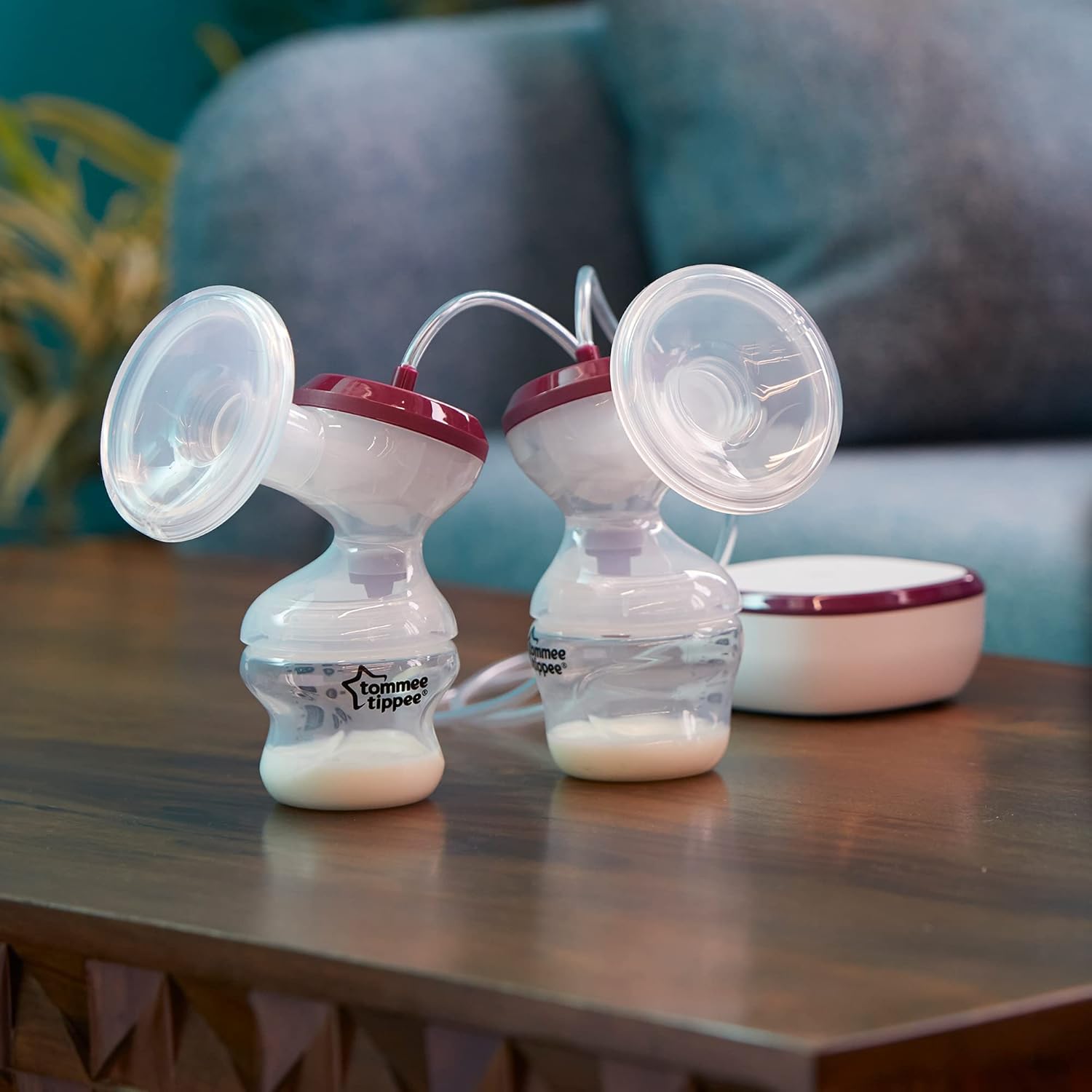 Tommee Tippee Made for Me double electric wearable breast pump with burgundy accents