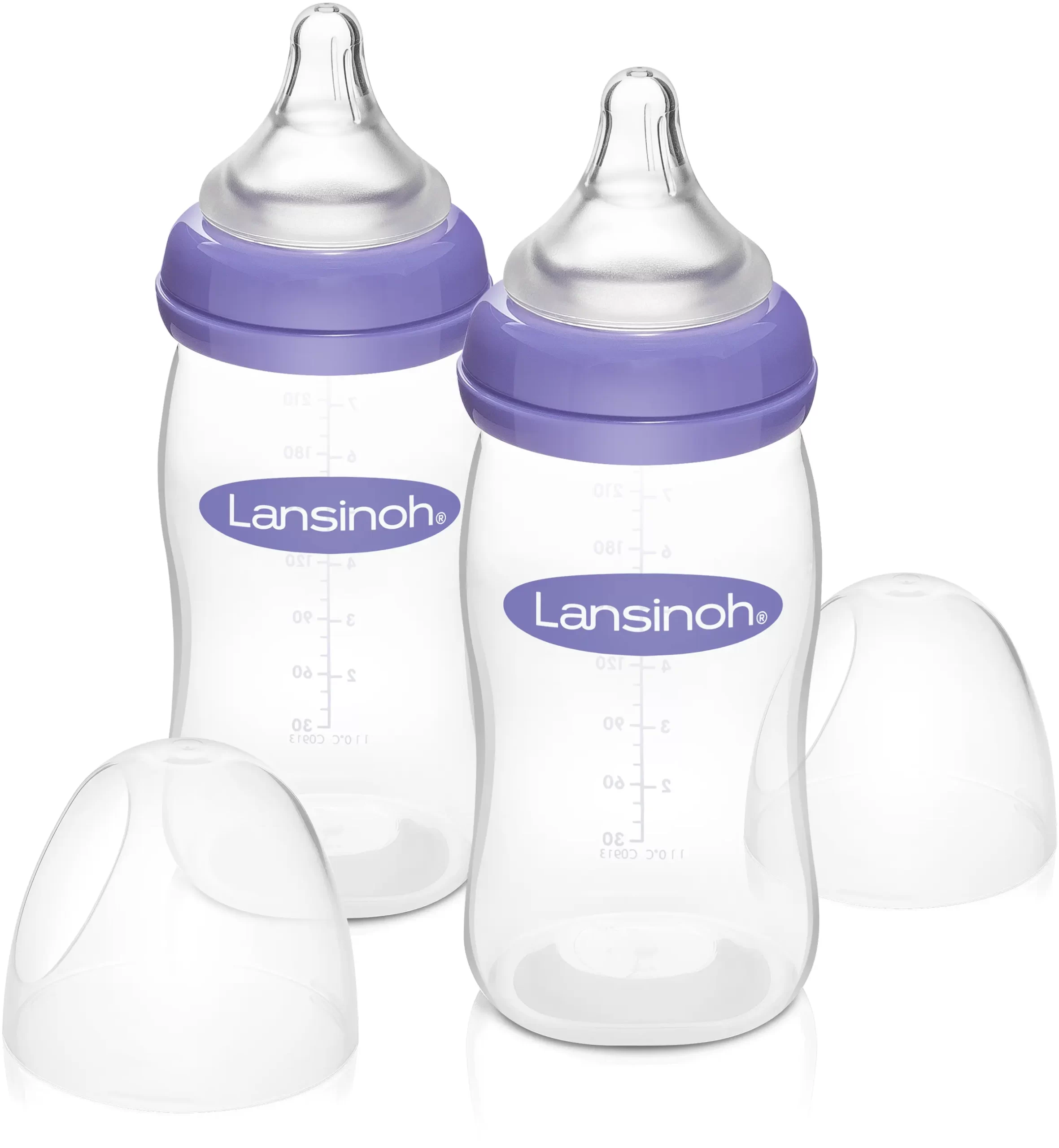 Lansinoh 240ml feeding bottles with purple bands, two pack with teats