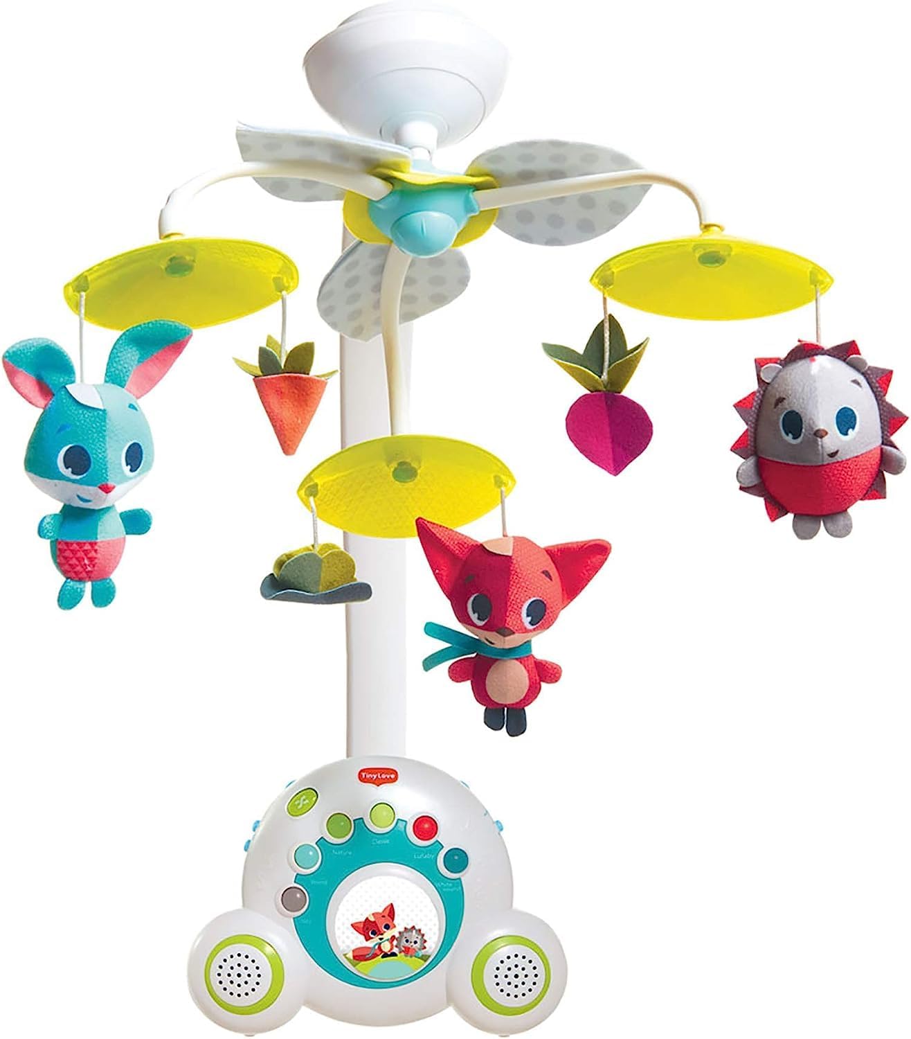 61jjB7PX1UL._AC_SL1500_