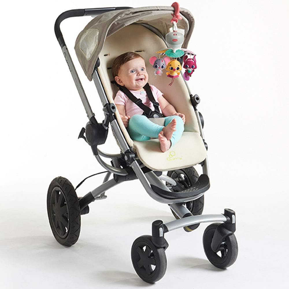 61uSkd6+sYL._AC_SL1000_