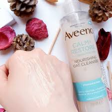 download - 2026-02-01T100726.546